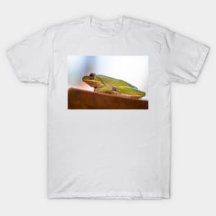 Hyla squirella T-Shirt